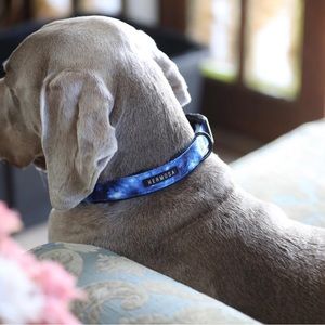 Riviera Watercolor Collar